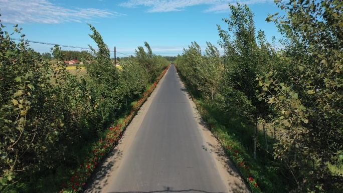 航拍 道路 油漆路 绿化 交通