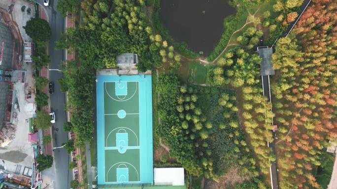 广州大观湿地公园航拍