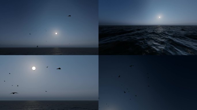 4K月夜大海波光粼粼海鸥飞翔盘旋神秘意境