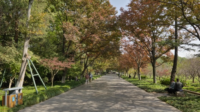 南京钟山明孝陵秋景