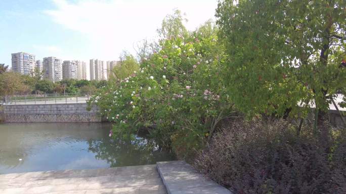 生态湿地公园