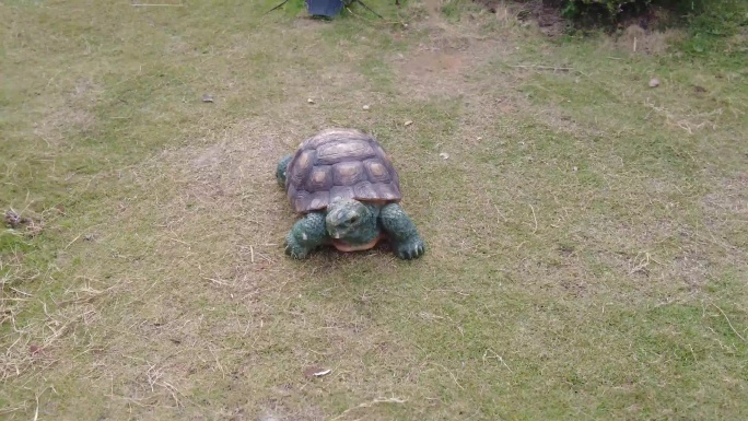 室外玻璃钢动物