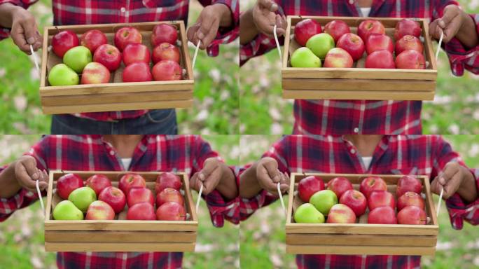 农民拿着苹果篮的特写镜头。