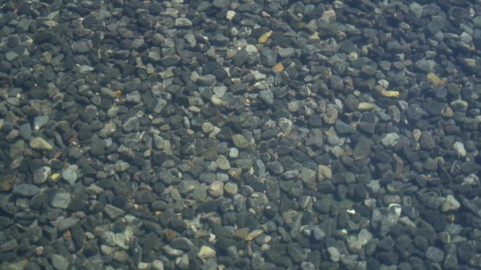 清澈见底的溪水和水里的石头