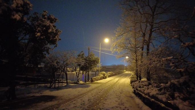 雪夜漫步