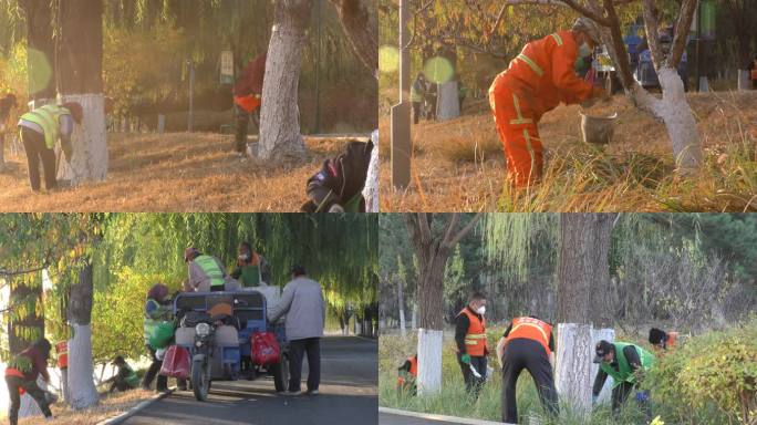 园林工人刷石灰过冬天杀虫养护树木保护树木