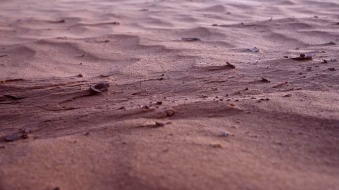 风吹过犹他沙漠沙砾沙土沙粒
