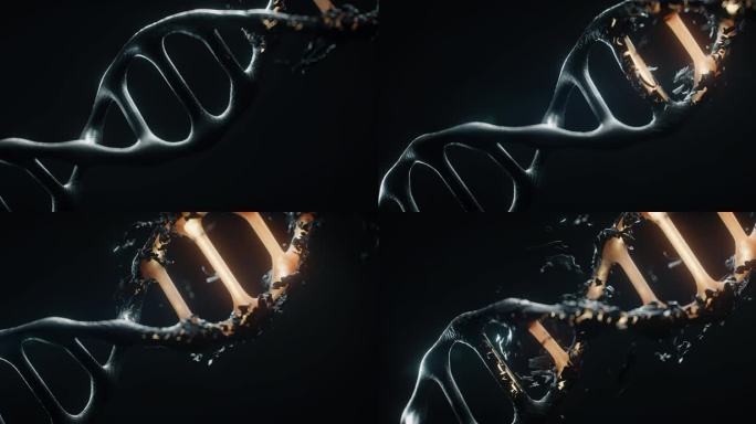细胞DNA 退散