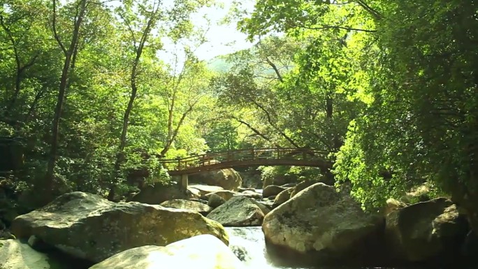 风景篇  枫叶 公路风景