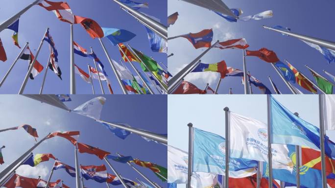 2022年上海进博会 各国旗子