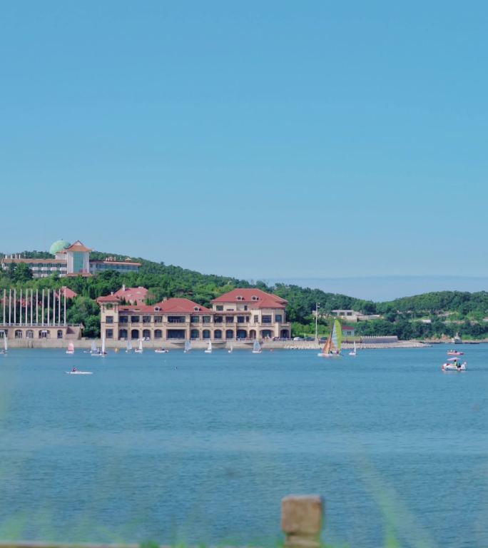 大海别墅海岛和蜻蜓