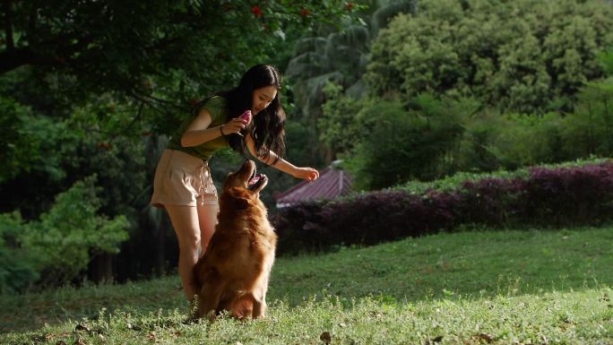 美女和狗狗在夏天的公园一起玩耍