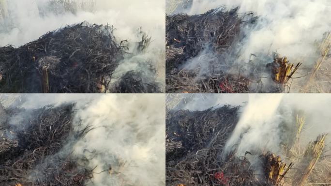 实拍火焰烈焰烧火堆燃烧秸秆烧稻草稻田纵火