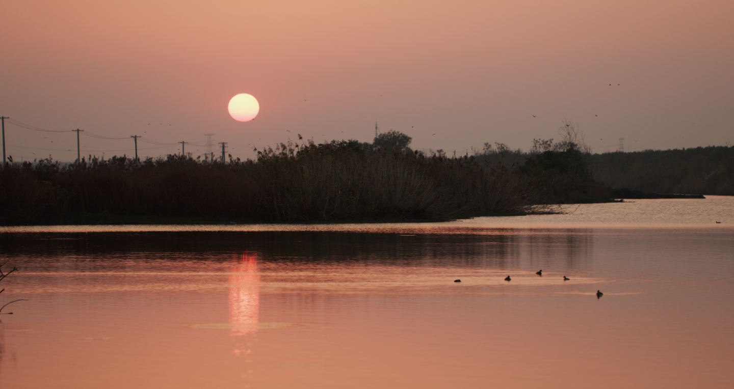 巢湖夕阳湿地景观