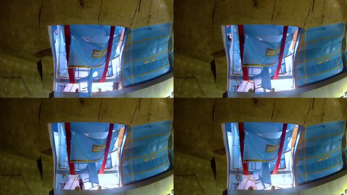 海洋公园 工作人员 海豚