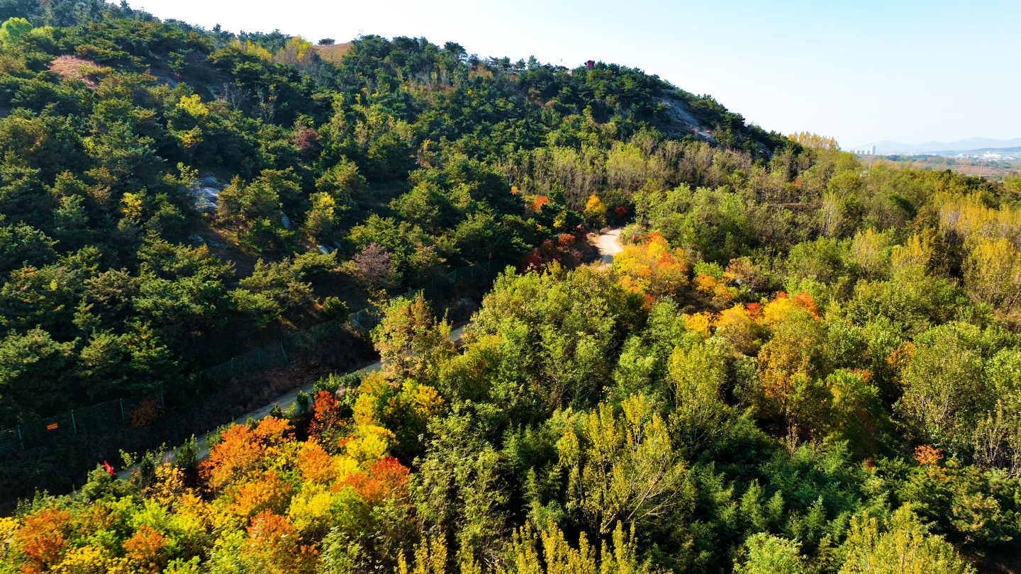 4K航拍秋季山景