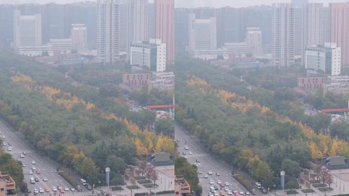 白天西安高新区唐延路的车流