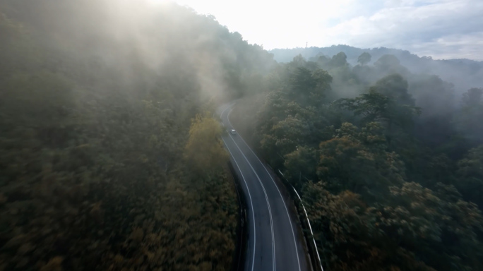 航拍汽车行驶在森林云雾中