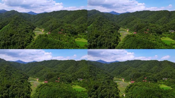 航拍山间森林天然氧吧山谷村落房屋