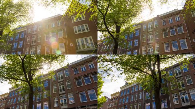 在一个阳光明媚的日子里探索荷兰阿姆斯特丹市