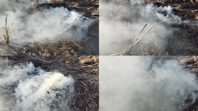 实拍火焰烈焰烧火堆燃烧秸秆烧稻草稻田纵火