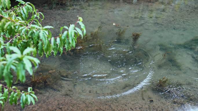 丢石头入水水花溅起波纹涟漪