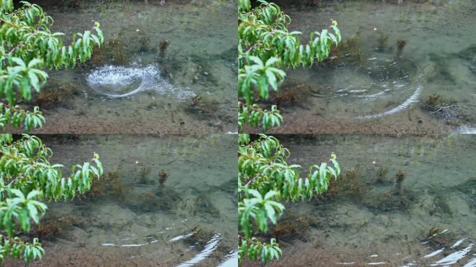 丢石头入水水花溅起波纹涟漪