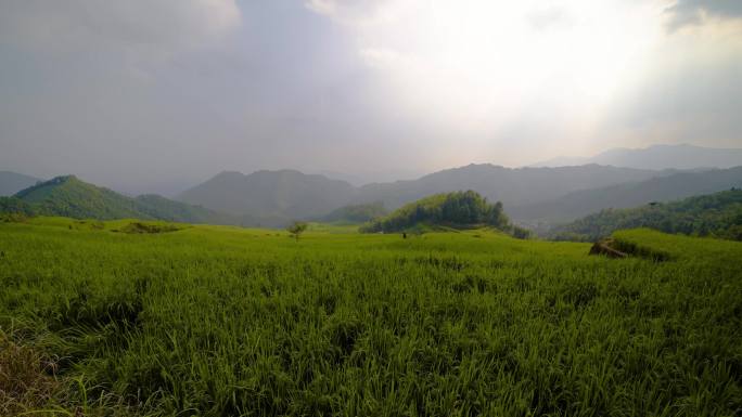 田地延时摄影