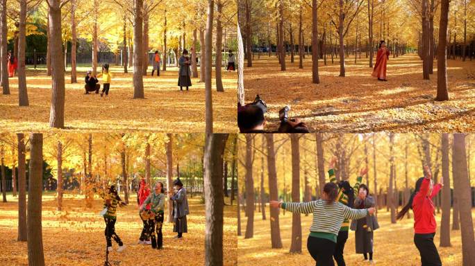 秋天公园游客拍照 银杏树林人群 跳舞打卡
