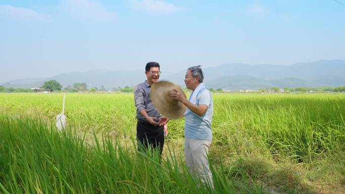 助农 新农村 服务三农