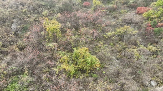 航拍济南三媳妇山