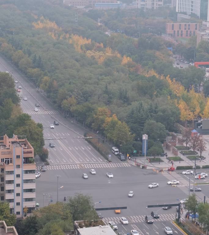 白天西安高新区唐延路的车流