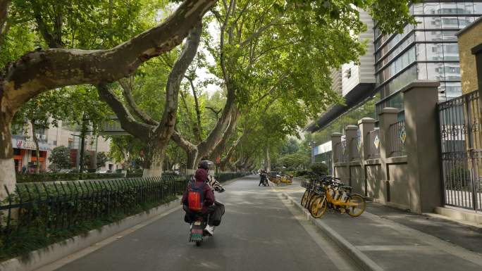 南京的街头，梧桐树街道