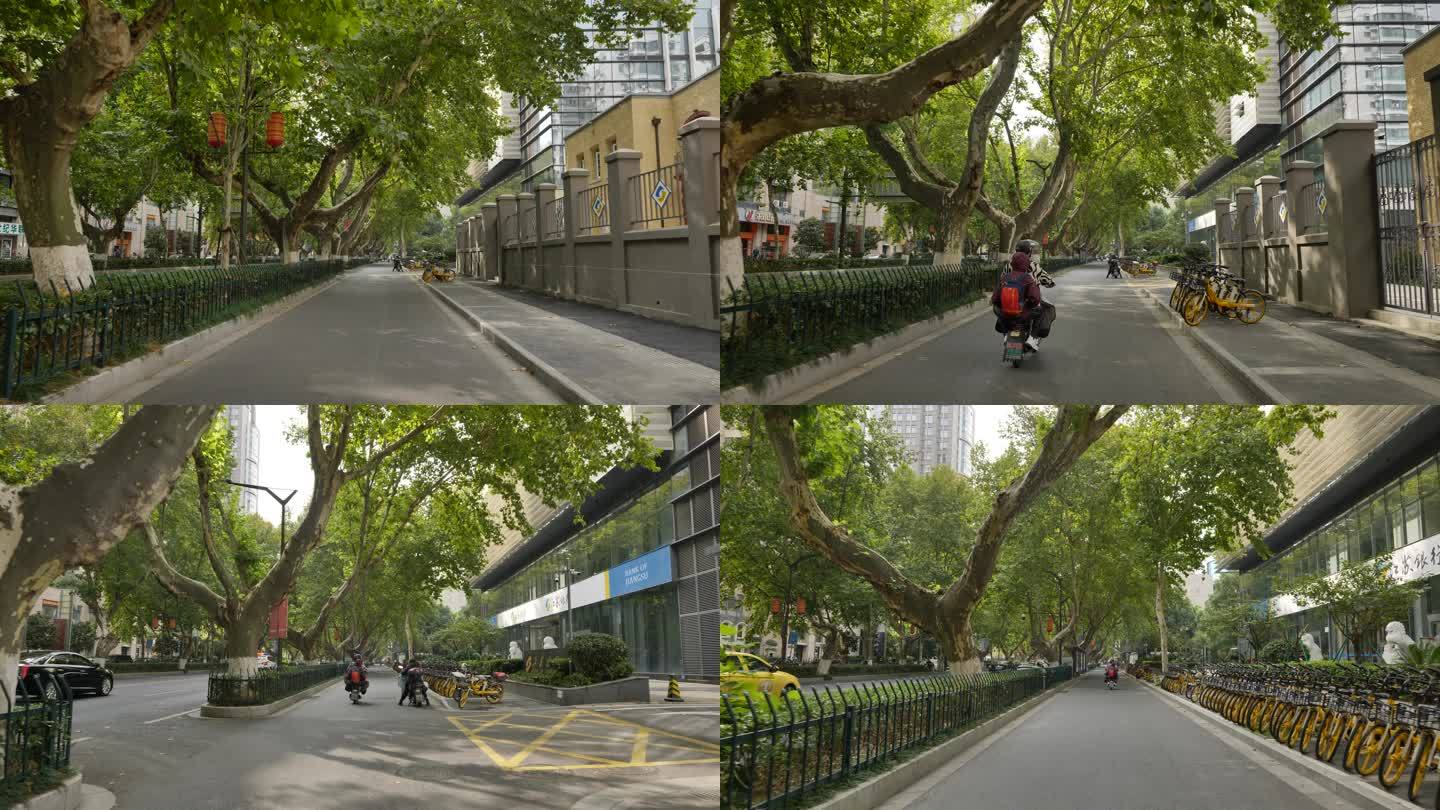 南京的街头，梧桐树街道