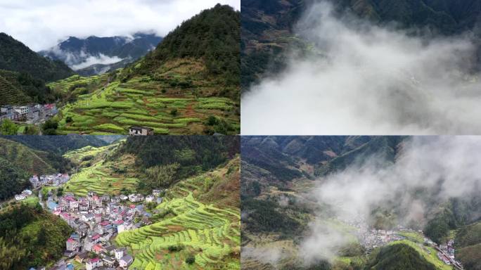 开化大龙美丽山村油菜花海云海航拍