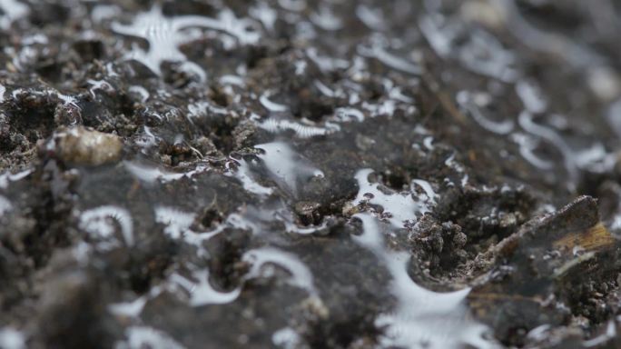 土地灌溉喷灌土地湿润农业农田特写