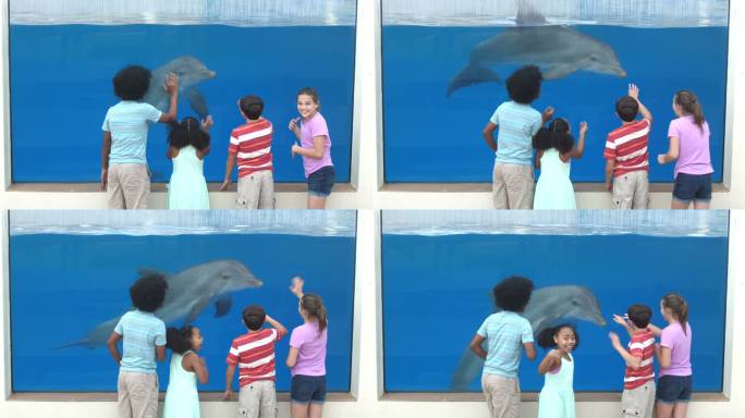 四个孩子在水族馆观看水下海豚