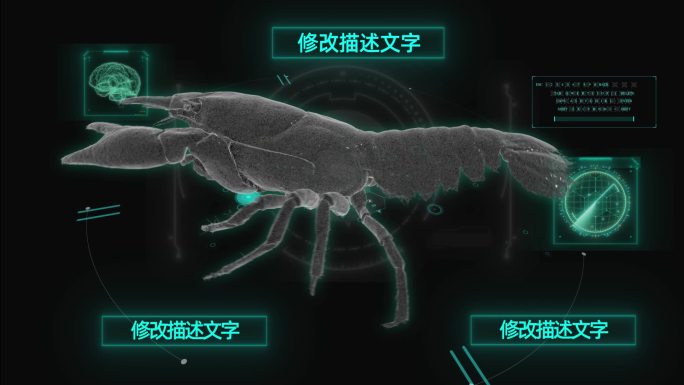 HUD科技界面龙虾展示AE模板