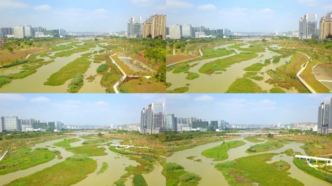 一座城市里的湿地公园的河流沼泽航拍
