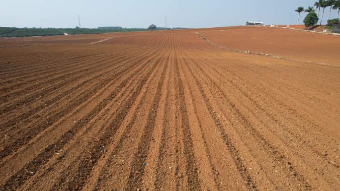 大型农场，机械化土豆种植