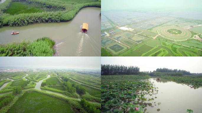 4K-洪泽湖湿地公园芦苇迷宫湿地旅游