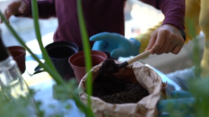 父子俩在家里一起园艺时手牵手