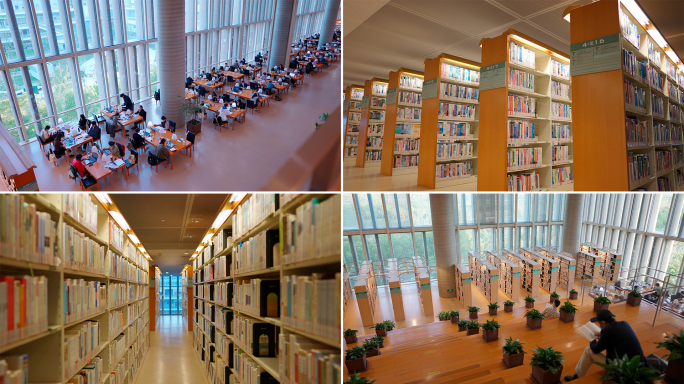图书馆看书 读书学习自学 教育空镜