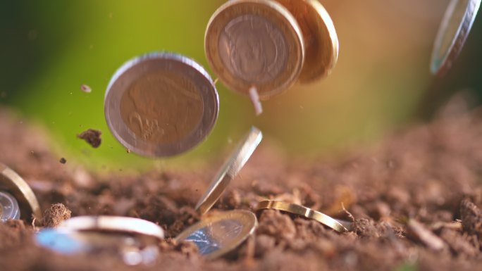 SLO MO LD欧元硬币掉落在自然界的土壤上
