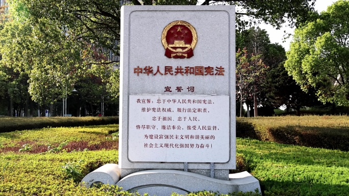 宪法 依法治国 法律 法治