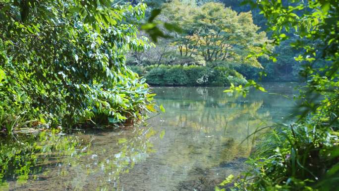 九溪烟树美景