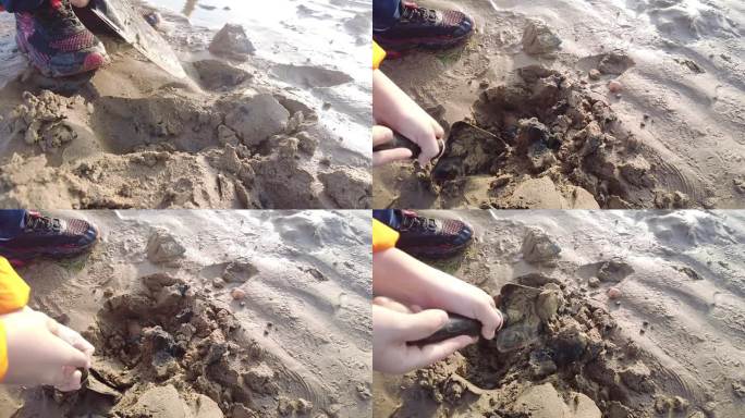 儿童挖沙海滩沙滩幸福4K