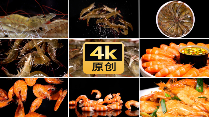 大虾活虾白灼虾油焖大虾虾仁基围虾