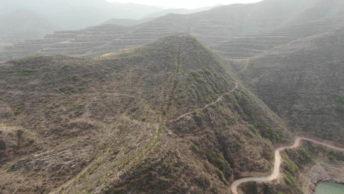 新造林航拍景观效果