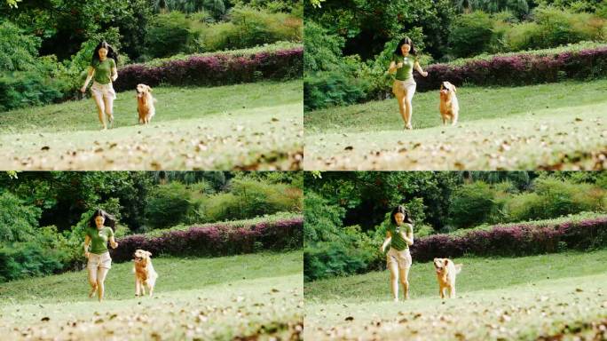 可爱金毛犬和女主人奔跑在夏日阳光公园草地